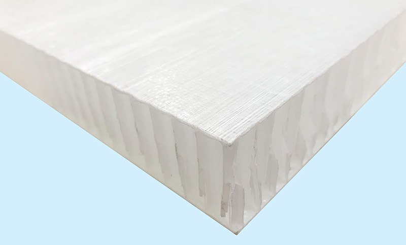 FRP (Fiberglass Reinforced Plastics) honeycomb composite panel